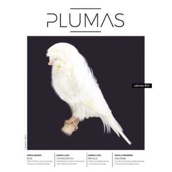 PLUMAS.jpg