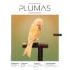 PLUMAS.jpg