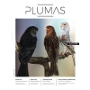 PLUMAS.jpg