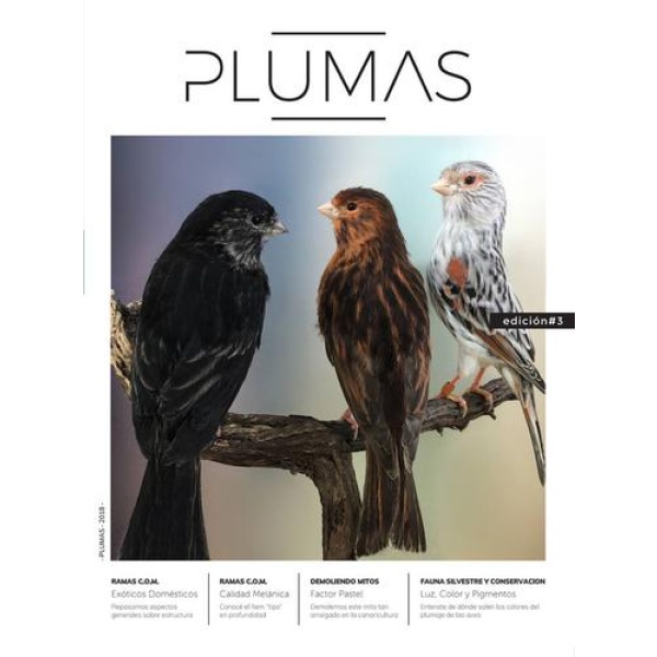 PLUMAS.jpg