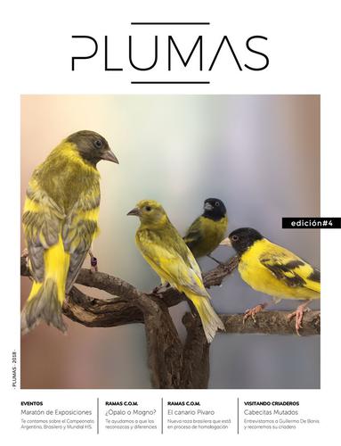 PLUMAS.jpg