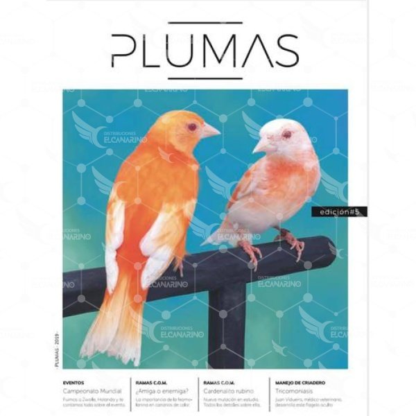 PLUMAS.jpg