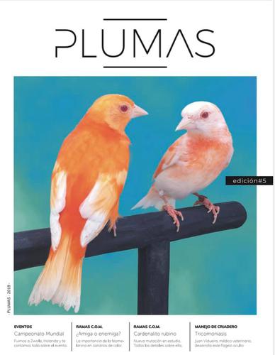 PLUMAS.jpg