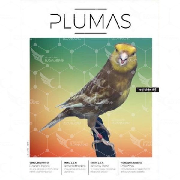 PLUMAS.jpg