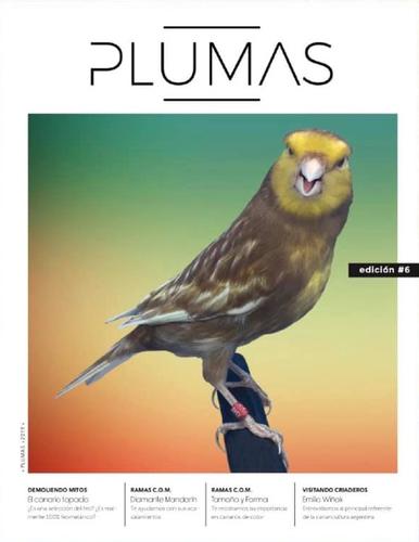 PLUMAS.jpg