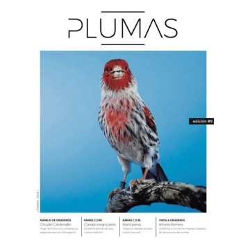 PLUMAS.jpg