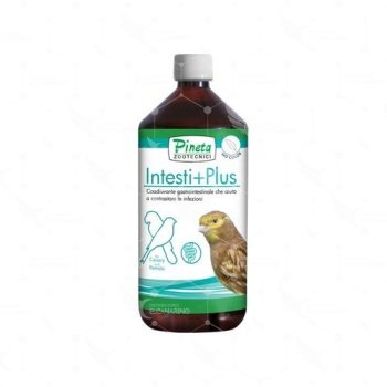 Intesti+Plus 1000ml Equilibrio intestinal Pineta
